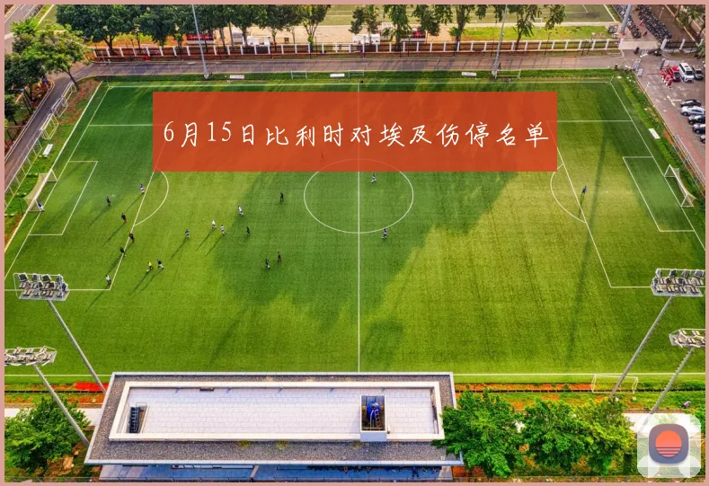 6月15日比利时对埃及伤停名单